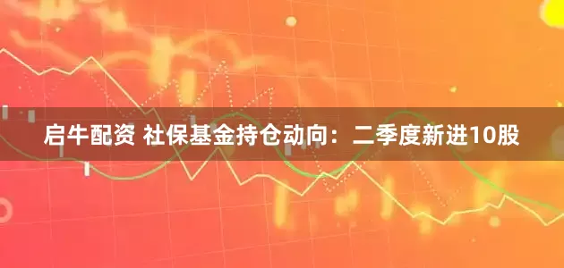 启牛配资 社保基金持仓动向：二季度新进10股