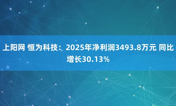 上阳网 恒为科技：2025年净利润3493.8万元 同比增长30.13%